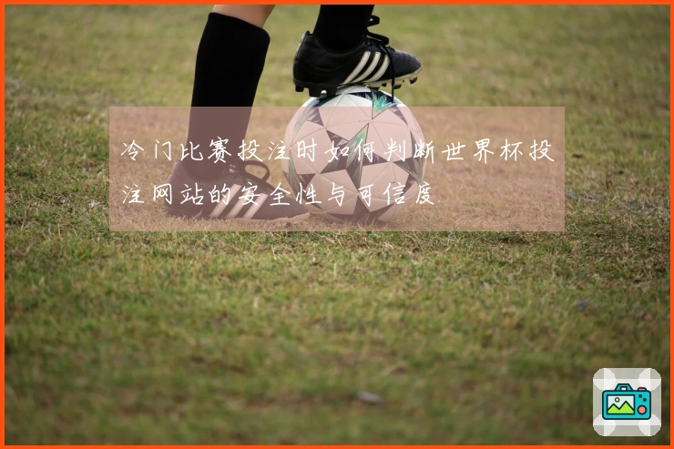 冷门比赛投注时如何判断世界杯投注网站的安全性与可信度