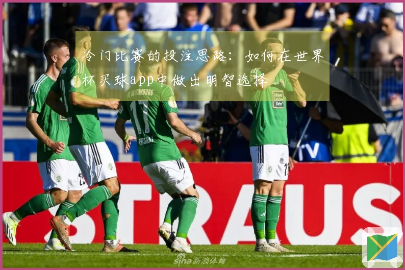 冷门比赛的投注思路：如何在世界杯买球app中做出明智选择