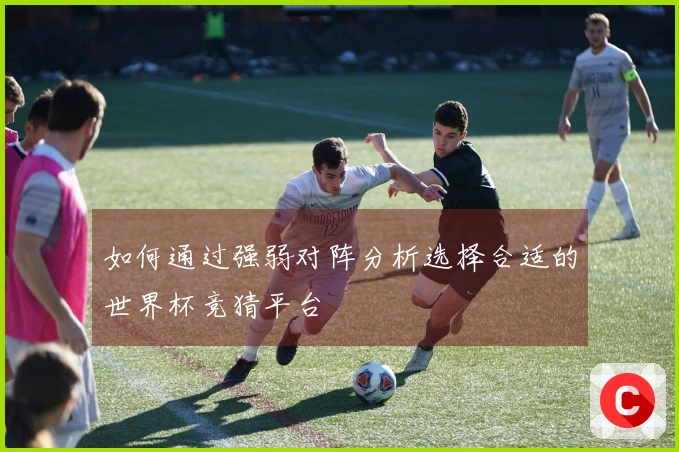 如何通过强弱对阵分析选择合适的世界杯竞猜平台