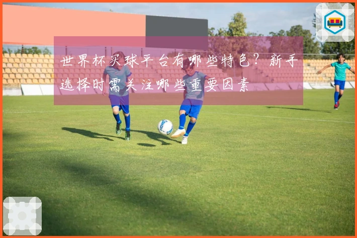 世界杯买球平台有哪些特色？新手选择时需关注哪些重要因素