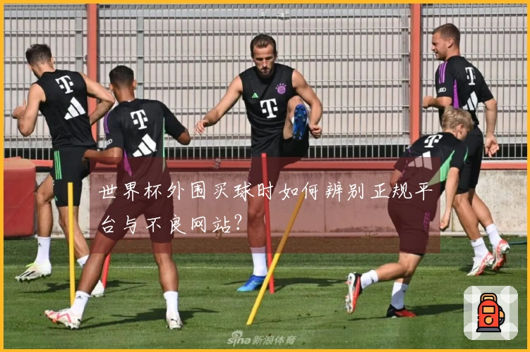世界杯外围买球时如何辨别正规平台与不良网站？