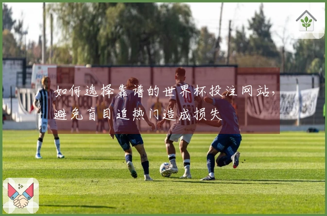 如何选择靠谱的世界杯投注网站，避免盲目追热门造成损失